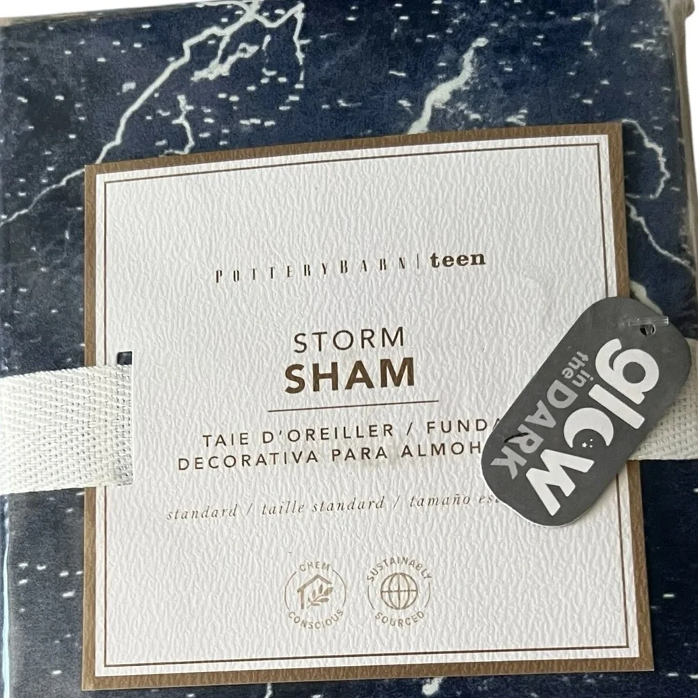 Pottery Barn Teen Storm Glow In The Dark Standard Shams Night Sky New